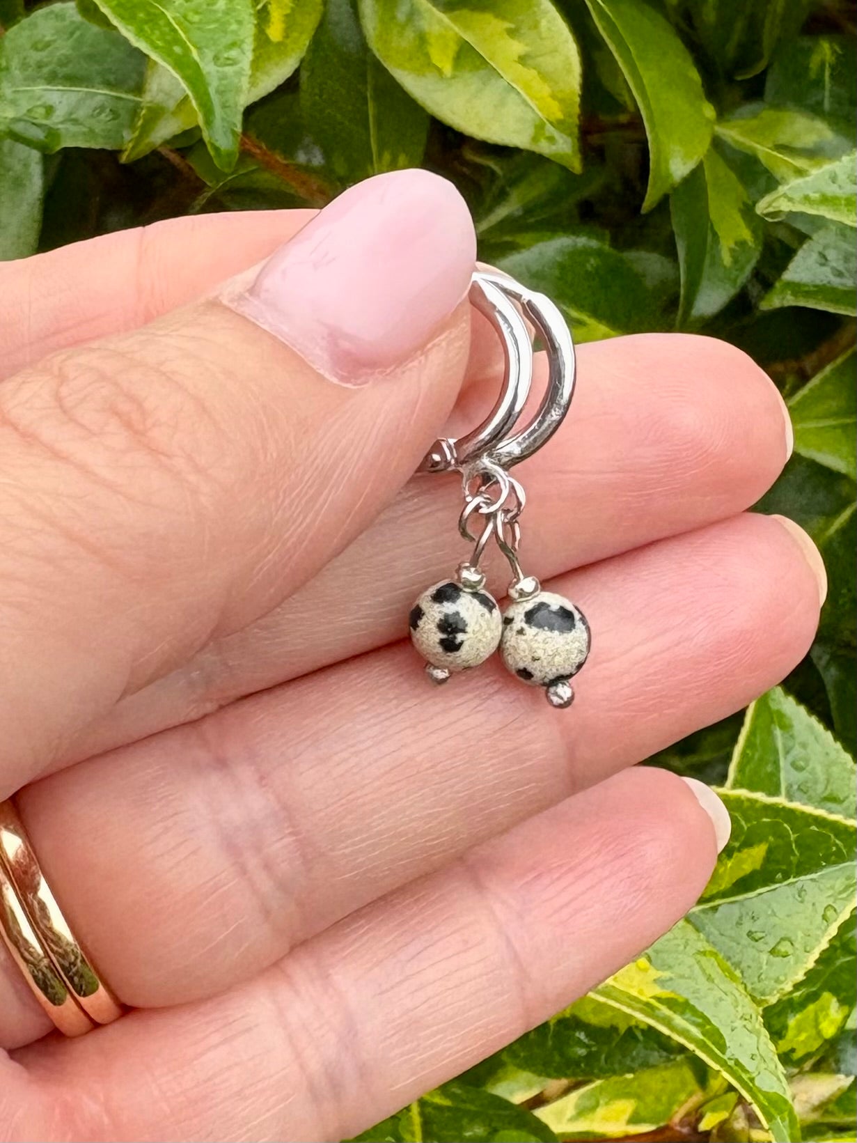 Dalmatian Jasper Huggie Hoop Earrings - Silver-plated